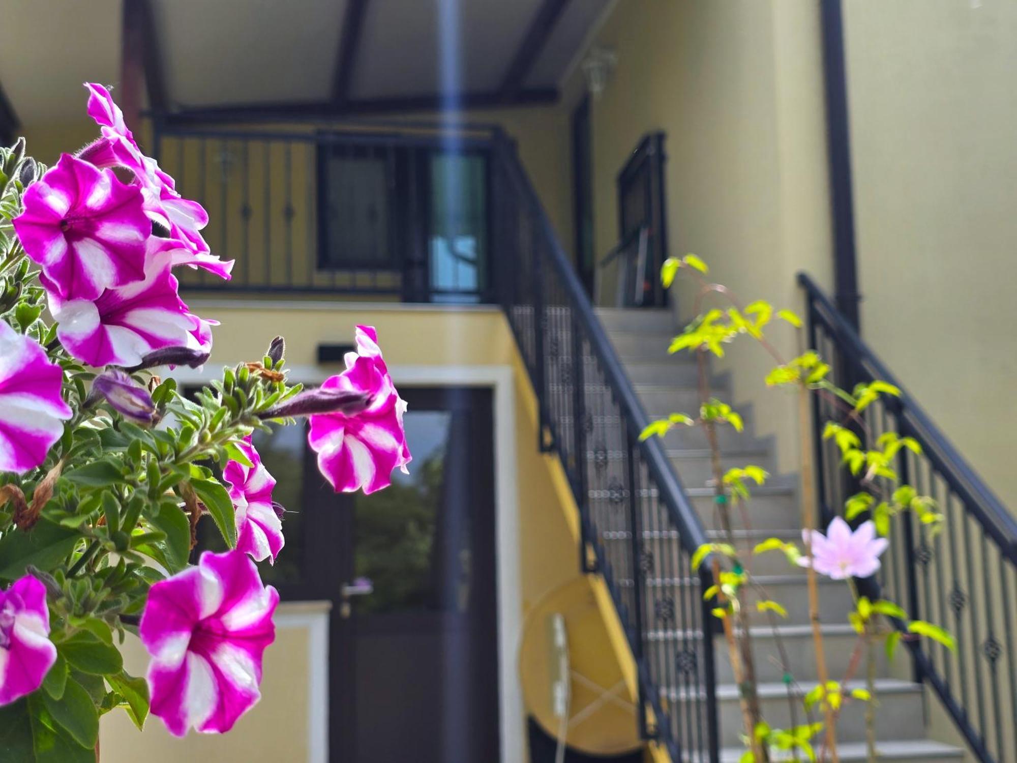Keser Apartments Rovinj Dış mekan fotoğraf